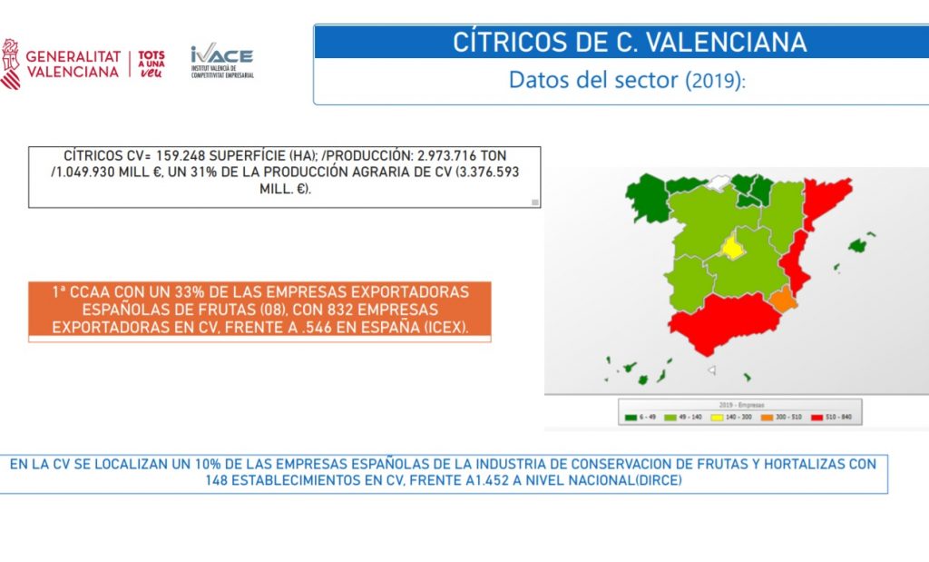 daots sector citrico 2019