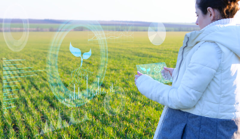 Más ayudas para pymes y autónomos del sector agrícola: lo que debes saber sobre el Reglamento (UE) 2024/3118