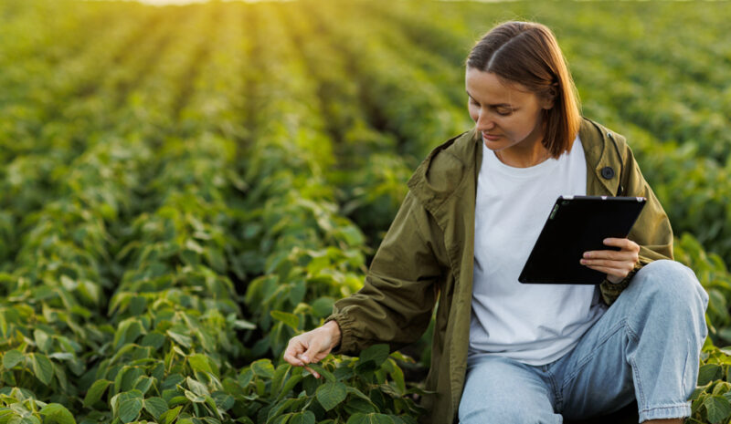 El cuaderno de campo digital e implementación en el entorno rural